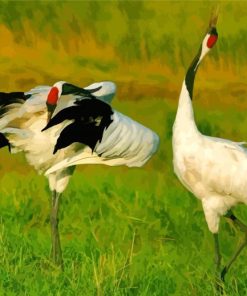 Red Crowned Cranes Diamond Paintings