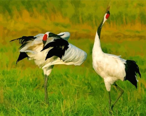 Red Crowned Cranes Diamond Paintings