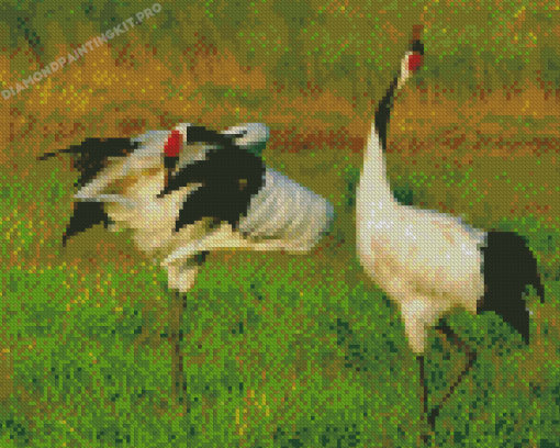 Red Crowned Cranes Diamond Paintings