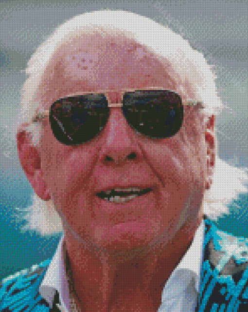 Ric Flair Professional Wrestler Diamond Paintings