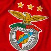 Simbolo Benfica Diamond Paintings