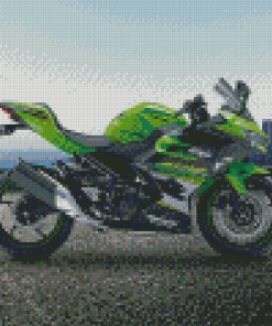 The Kawasaki Ninja Diamond Paintings