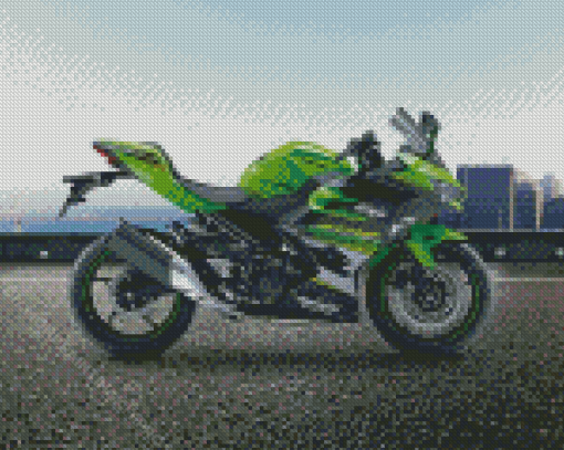 The Kawasaki Ninja Diamond Paintings