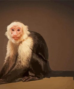 The Capuchin Monkey Diamond Paintings