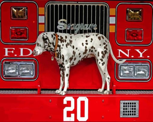 The Dalmatian And Fire Truck Diamond Paintings