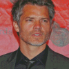 Timothy Olyphant Actor Diamond Paintings