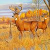 Whitetail Buck And Doe Animals Diamond Paintings