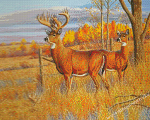 Whitetail Buck And Doe Animals Diamond Paintings