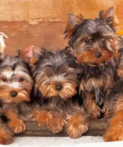 Yorkshire Terrier Puppies Dogs Diamond Paintings