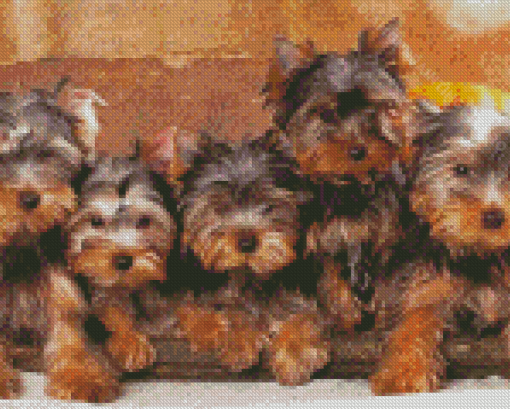 Yorkshire Terrier Puppies Dogs Diamond Paintings