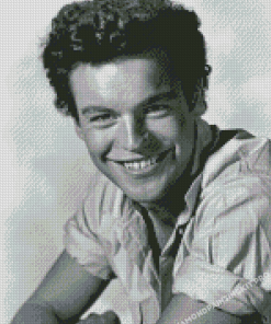 Young Robert Wagner Actor Diamond Paintings