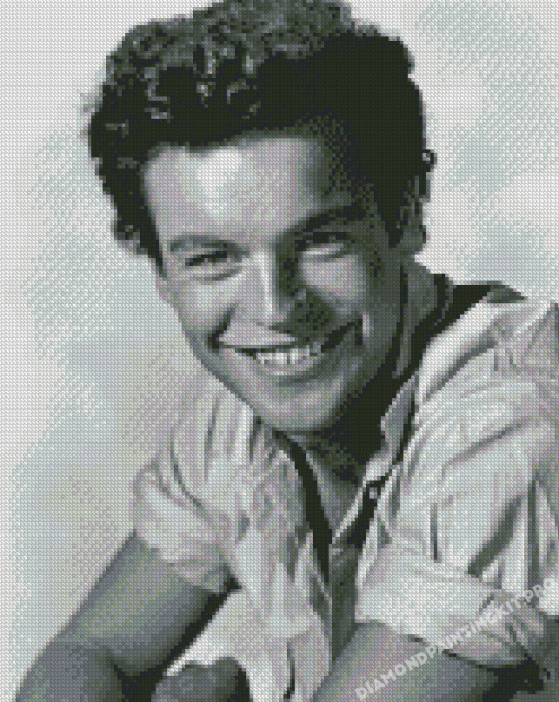 Young Robert Wagner Actor Diamond Paintings