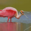 Aesthetic Roseate Spoonbill Diamond Paintings