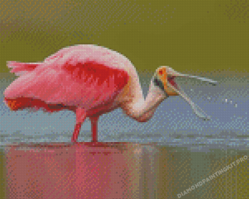 Aesthetic Roseate Spoonbill Diamond Paintings