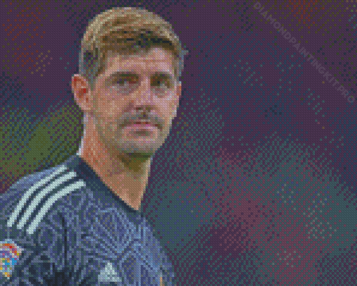 Aesthetic Thibaut Courtois Diamond Paintings