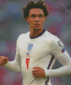 Aesthetic Trent Alexander Arnold Diamond Paintings