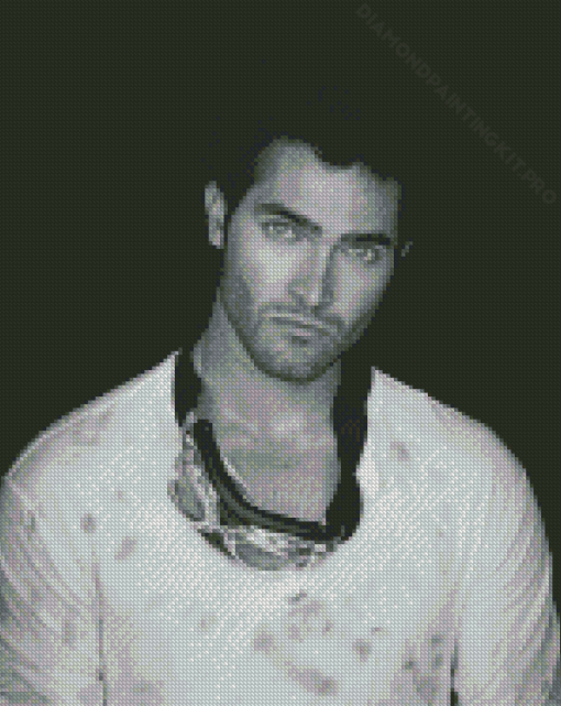 Black And White Tyler Hoechlin Diamond Paintings