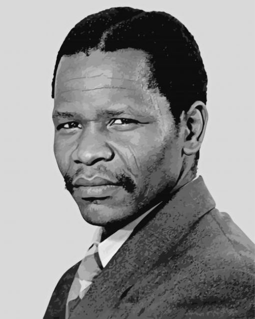 Black And White Oliver Tambo Diamond Paintings