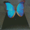 Blue Iridescent Butterfly Diamond Paintings