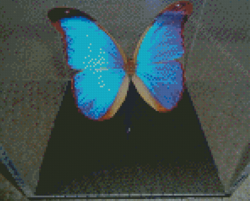 Blue Iridescent Butterfly Diamond Paintings