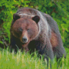 Brown Mountain Bear Diamond Paintings