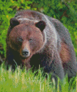 Brown Mountain Bear Diamond Paintings