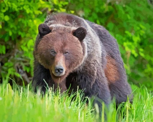 Brown Mountain Bear Diamond Paintings