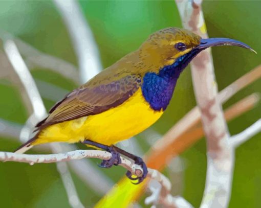 Close Up Yellow Sunbird Diamond Paintings