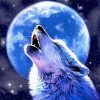 Cool Moon Wolf Diamond Paintings