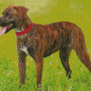 Cool Mountain Cur Dog Diamond Paintings