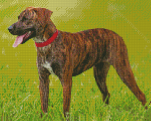 Cool Mountain Cur Dog Diamond Paintings