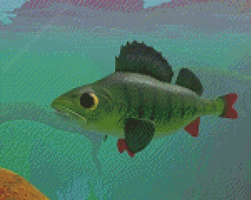 Cool Perch Fish Diamond Paintings