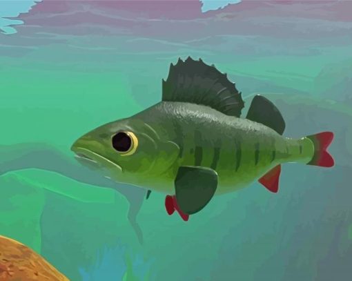 Cool Perch Fish Diamond Paintings