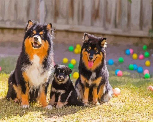 Cute Finnish Lapphunds Diamond Paintings