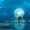 Elephant Moon Water Reflection Diamond Paintings