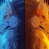 Fire Ice Wolves Anime Diamond Paintings