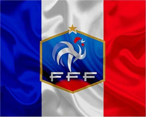 France Soccer Logo Diamond Paintings