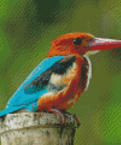 Halcyon Bird Animal Diamond Paintings