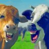 Happy Funny Cows Diamond Paintings