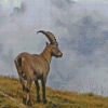 Ibex Animal Diamond Paintings