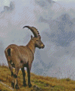 Ibex Animal Diamond Paintings