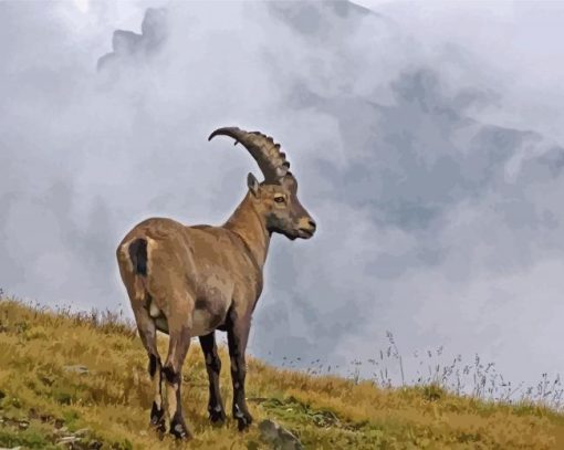 Ibex Animal Diamond Paintings