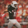 Larry Fitzgerald Player Diamond Paintings