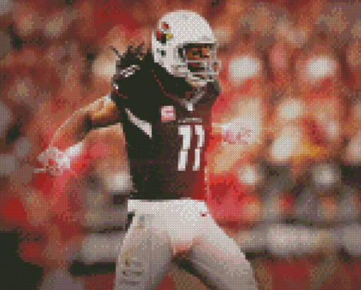 Larry Fitzgerald Player Diamond Paintings