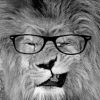 Monochrome Lion With Glasses Diamond Paintings