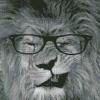 Monochrome Lion With Glasses Diamond Paintings