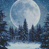 Night Snowfall Diamond Paintings