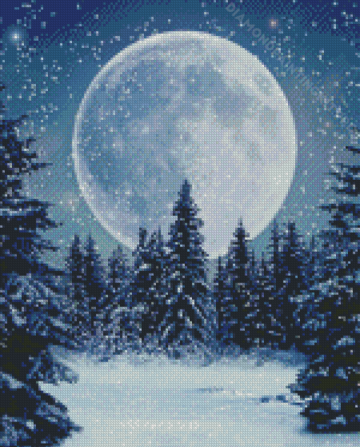 Night Snowfall Diamond Paintings