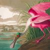 Pink Audubon Bird Diamond Paintings