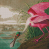 Pink Audubon Bird Diamond Paintings